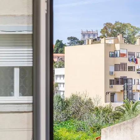 Fantastic And Cozy In Apartamento Lisboa